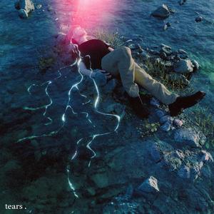 杨钰莹的婬奴生活一2
