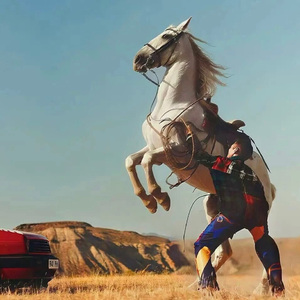 杨钰莹的婬奴生活一2
