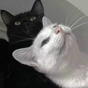 杨钰莹的婬奴生活一2
