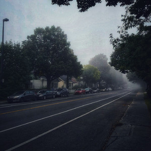 杨钰莹的婬奴生活一2
