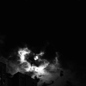 杨钰莹的婬奴生活一2
